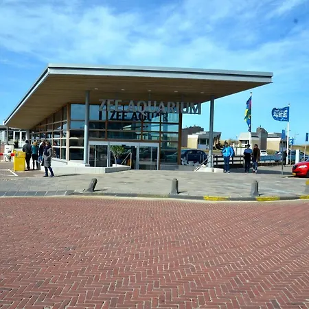De Schelp Lejlighed Bergen aan Zee
